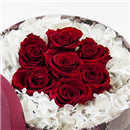 /fileuploads/Produtos/Exclusivos/thumb__Lux Roses_02.jpg